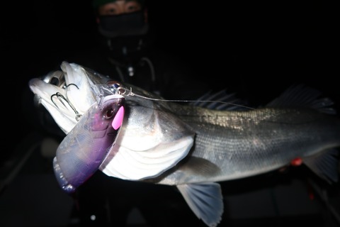 20221223222239_IMG_4273