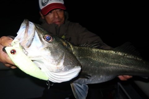 20221031225939_IMG_2892