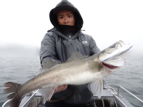 ぼかし丸_20191127_211026