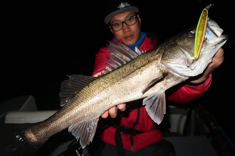 20200213213028_IMG_7481