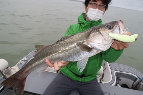 20201011161528_IMG_0498