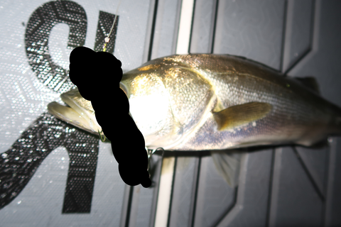 sketch-1726935690560