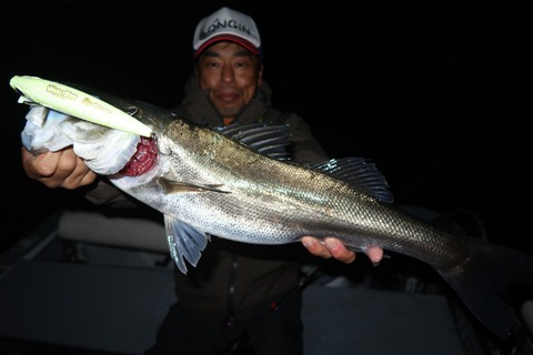 20221108215259_IMG_3051