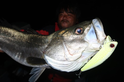 20240404194655_IMG_0829