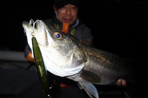 20200323215251_IMG_8099