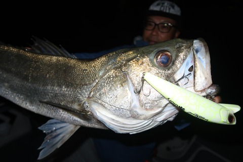 20231123185535_IMG_8661