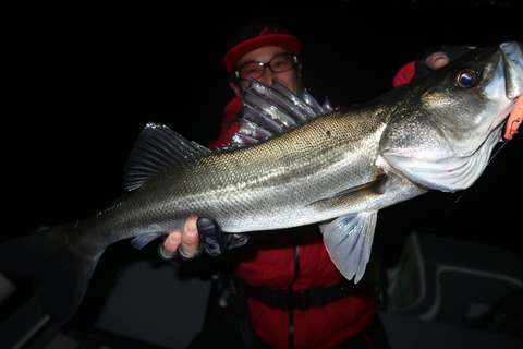 20240117200048_IMG_9692