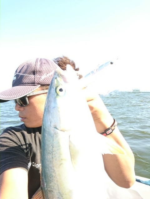 [画像:f0f72436-s.jpg]