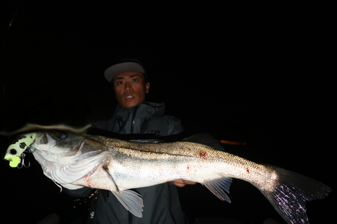 sketch-1601840369019