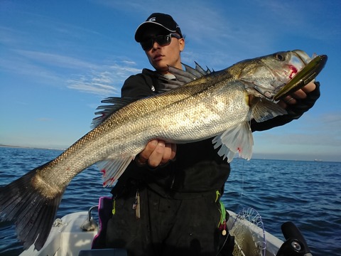 [画像:f1d98dcc-s.jpg]