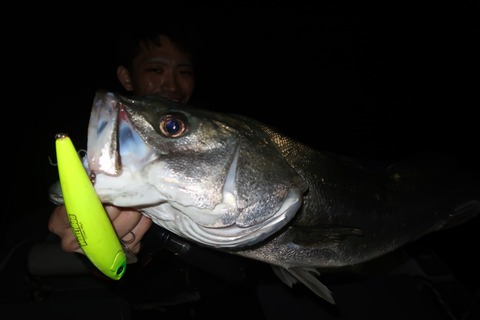 20221023011858_IMG_2668