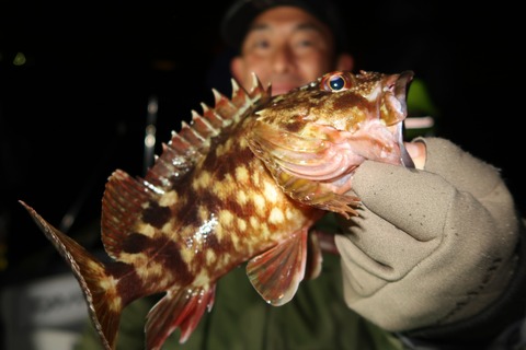 20200204001606_IMG_7339