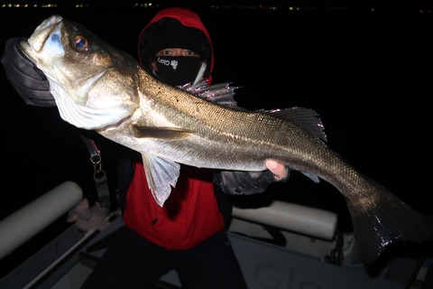 20210130212946_IMG_2918