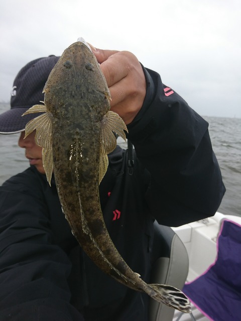 [画像:f30c4a55-s.jpg]