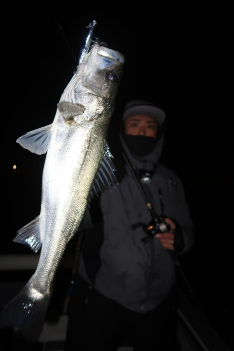 20200302215718_IMG_7841