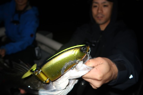 20201001000437_IMG_0323