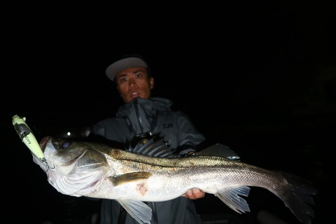 20201004210311_IMG_0393