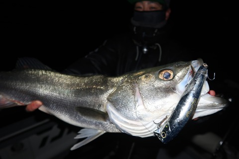 20221223211703_IMG_4253