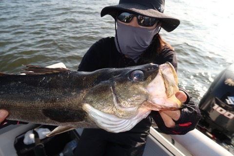 20200825072503_IMG_9958