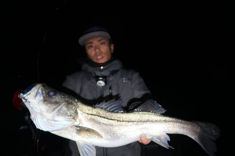 20200304203132_IMG_7874