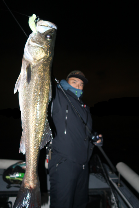 sketch-1667669494909