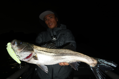 sketch-1603482165126