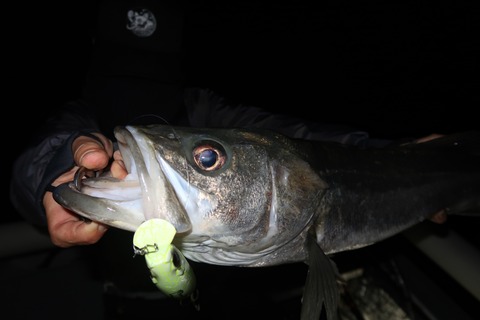 20211103203047_IMG_7269