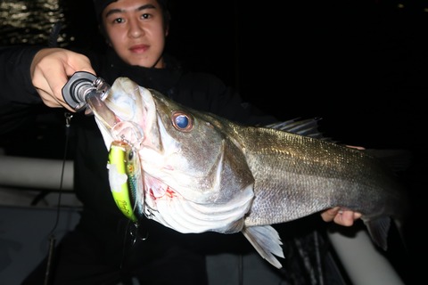 20201005000443_IMG_0404