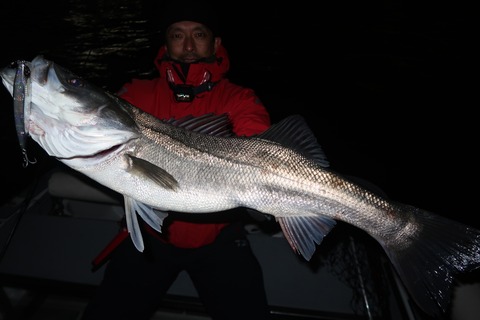 20221217191821_IMG_4192