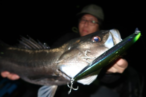 20240107005805_IMG_9557