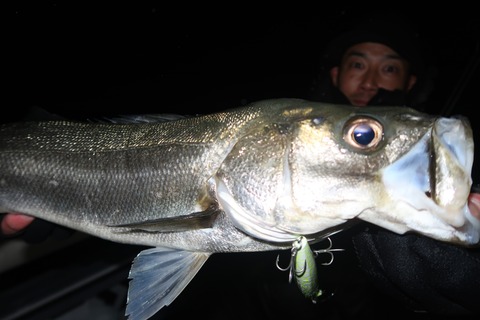 20240221202042_IMG_0062