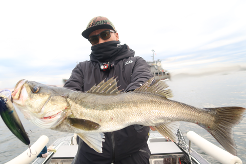 sketch-1666593700368