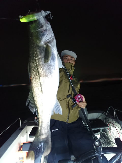 sketch-1539370444130