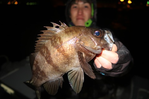 20200124223642_IMG_7224