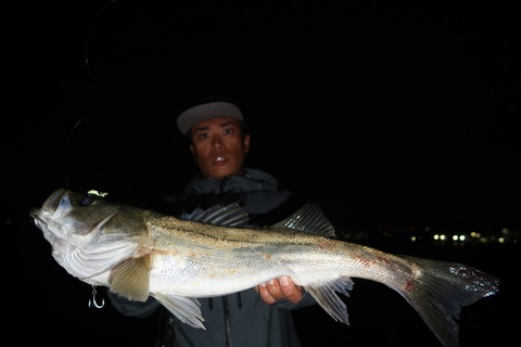 20201001005451_IMG_0334