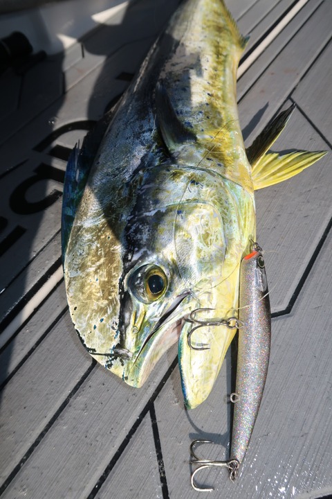 20200827074358_IMG_9974