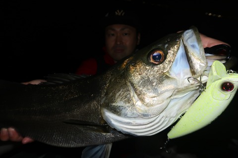 20240427215211_IMG_1305