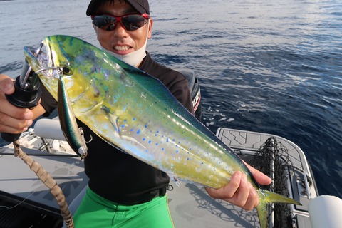 20200831073658_IMG_0028