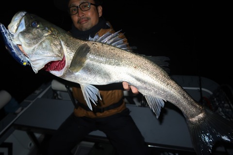 20221106202559_IMG_3032