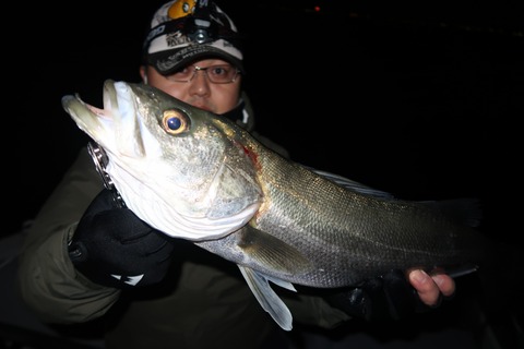 20200320211023_IMG_8017