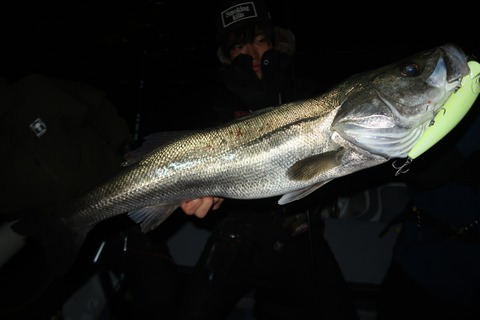 20231114203556_IMG_8465