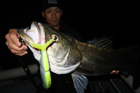 20201001010157_IMG_0337