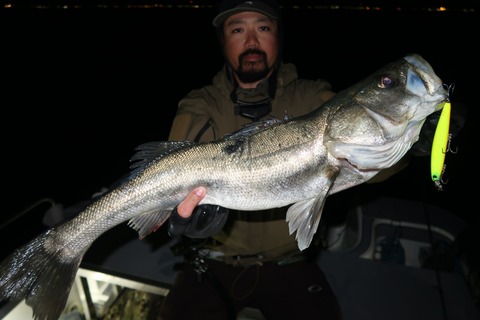 20200125234021_IMG_7272