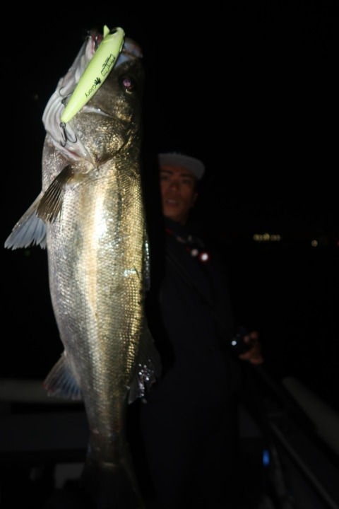 20231026195321_IMG_8196