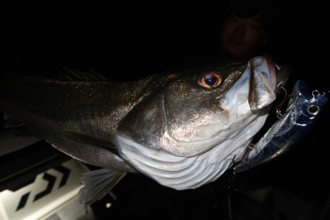 20221022233455_IMG_2654