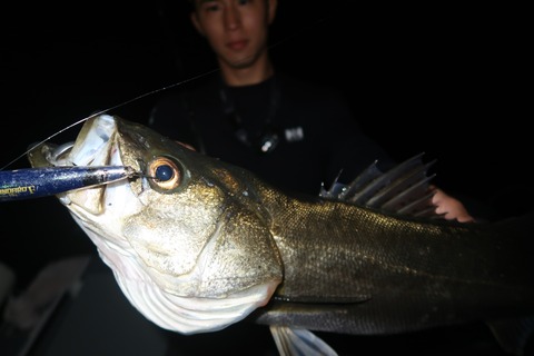 20240425195214_IMG_1214