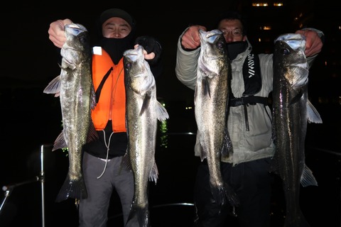 20200329231657_IMG_8172