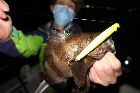 20200429213559_IMG_8602