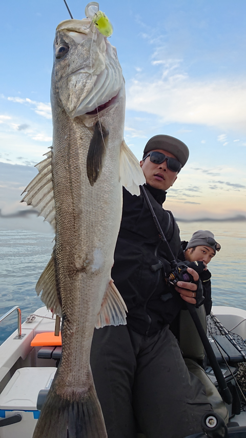 sketch-1545835614349