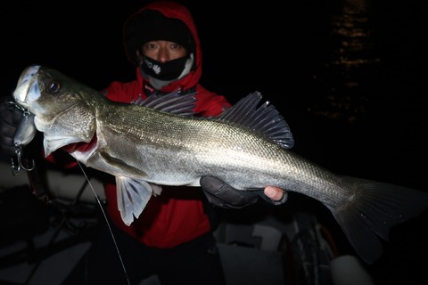 20210130193611_IMG_2896